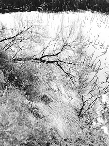 Scenes from the Trail- Monochrome Winter Lochan Reflections